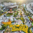 삼국식당 이미지