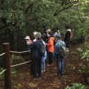 제주마을 이미지