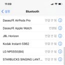 사과네 케이스