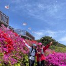 선암사 | [부산 백양산] 애진봉 철쭉 개화 절정 선암사 주차 등산코스 후기