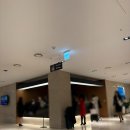 호텔엑스2 | 2025년 12월 에어아시아엑스 면접후기 2