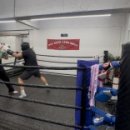 스콜복싱 이미지