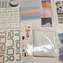 룰루비즈