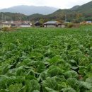 대봉1리마을회관 이미지