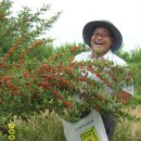 순이농장 이미지