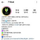 고양이 카페 여기 이미지
