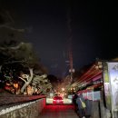 산성리 | 새해 기록 | 남한산성 해돋이로 눈부시게 밝은 새해를 시작하다