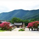 표충사 - 1903 | 표충사