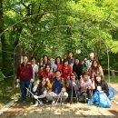 자인계정숲 이미지