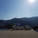 홍천, 알파카월드