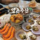 양촌수산 | 김포맛집 양촌 횟집 추천 "양촌수산" 내돈내산 후기