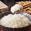 오대만족 이미지