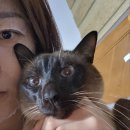 외도오아시스노래연습장 이미지