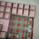 [키보드 추천] 체리키보드 MX 3.0S RGB 핑크색 저소음적축 내돈내산, 9개월 실사용후기