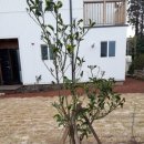 철없는펜션 이미지