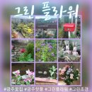 태재로 | 광주꽃집 그린플라워 재재방문 후기