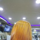 염색나라 이미지