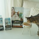 퓨리나동물병원 | 고양이 요로계 건강 방광염 요로결석 비켜! 고양이 음수량 채우는 퓨리나 프로플랜 하이드라케어