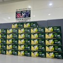 신월중앙태권도장 이미지