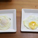 금호농장계란