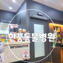 현풍동물병원 이미지