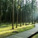 조앤조숲요양병원 이미지