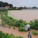 유원농장 이미지