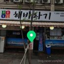 푸른농장해바라기 이미지