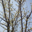 금강농장 이미지