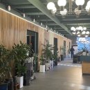 우테일러 이미지