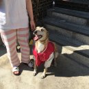 범어떡볶이 이미지