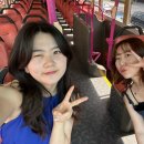 오차드마켓 이미지