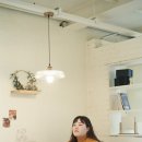 소렐(Sorrel) 이미지