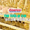 ㈜블루핸즈 양주점 | 코스트코 11월 1주차 술 주류 할인상품 맥주 와인 위스키 양주 행사 세일 가격