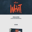 BAE173 Special Edition 'WHAT' DETAILS 이미지