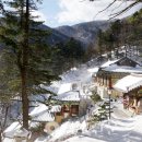 상원사샘터 이미지