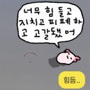 [제주 HP센터] 노트북 수리 후기 | 센터 이전 | 쿠팡케어청구 방법