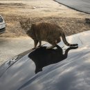 정주네농장 이미지