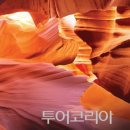 빅 애바다 유통