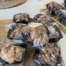 bamtol(밤톨)