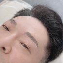 눈썹대장 이미지