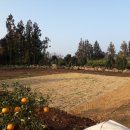 제주 춘자네 펜션 이미지