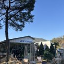 [경주] 소디스커피｜경주 현곡 커피 맛집 소디스커피 본점 후기 베이커리 맛집 추천 아이와 함께 내돈내산