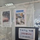 (주)반디디자인에반하다 | 부평프리마켓 15일 유지기간 헤나의반하다 내돈내산 후기