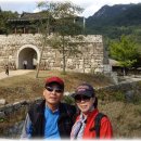 부 산 Daum카페