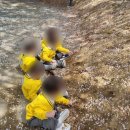 풀잎어린이집 이미지