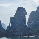 섬바위가든 | 하롱베이 크루즈와 함께한 감동의 비경관광 승솟동굴 등 패키지여행 3일차 후기