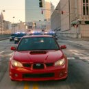 드라이버독 이미지