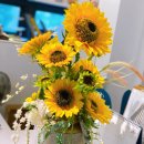 더 골드짐 이미지