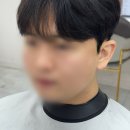 아라헤어 이미지